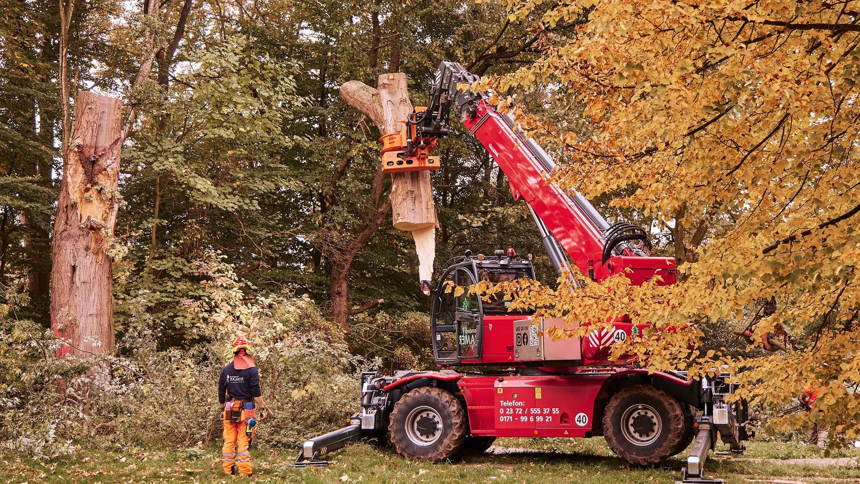 Tree Handling Machine Engine key to reliable forestry machinery | Volvo Penta US