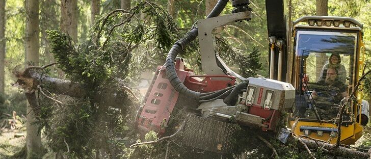 Forestry engines for demanding jobs | Volvo Penta